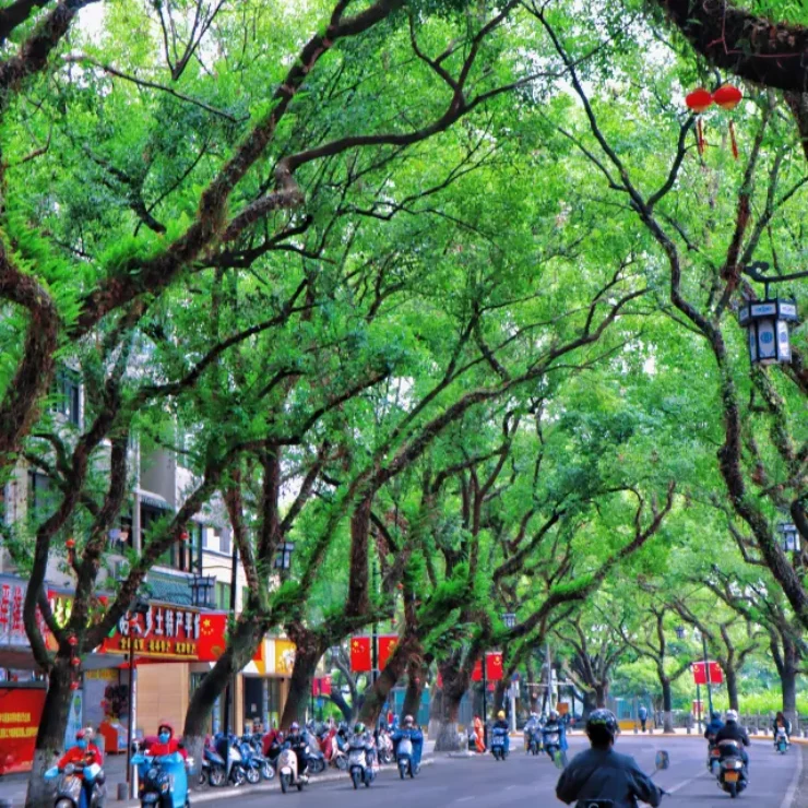 Getting Around Guilin: Your Ultimate Transport Guide for Tourists Staying at GangShe Rooftop View Hotel I