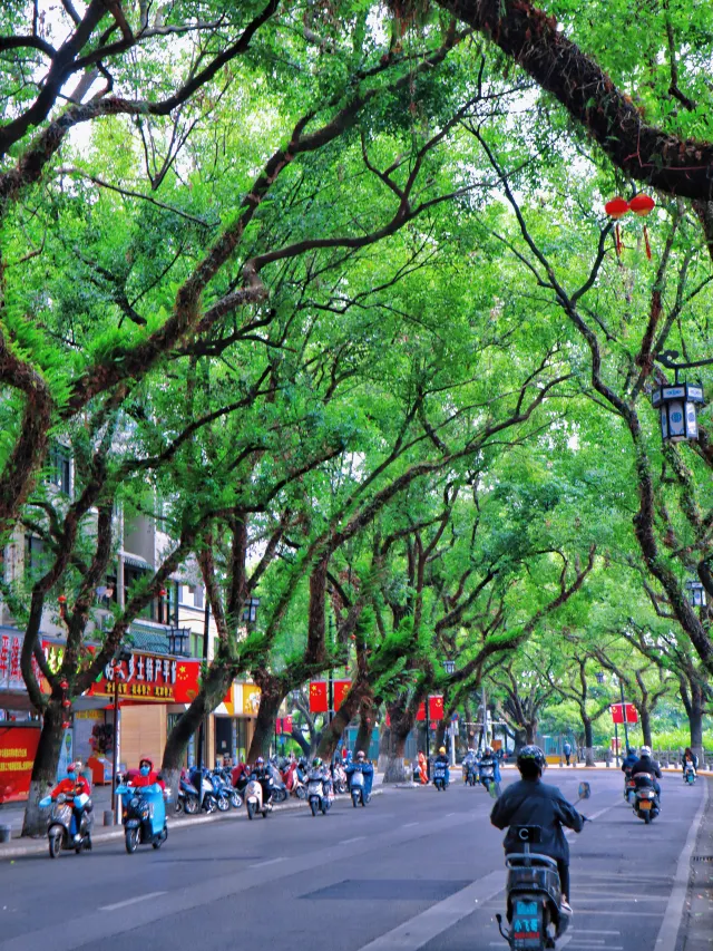 Getting Around Guilin: Your Ultimate Transport Guide for Tourists Staying at GangShe Rooftop View Hotel I