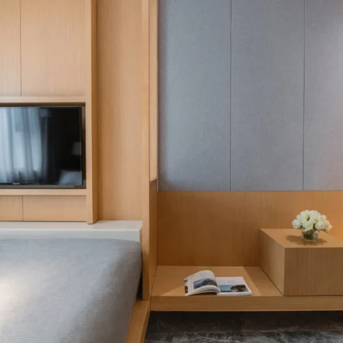 Light Luxury Queen Room